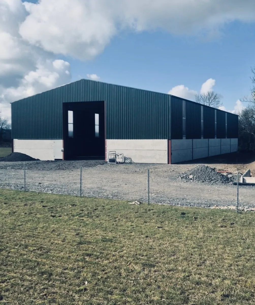 !!!100x60x20 EAVES KIT SHED !!!! - Image 1