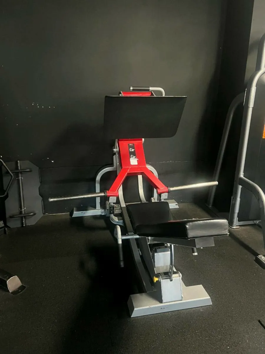 Plates loaded machine's - Image 4