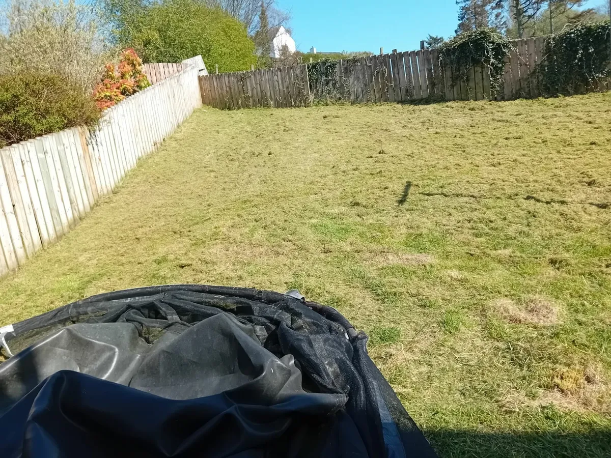 lawenmower shaft driven - Image 4