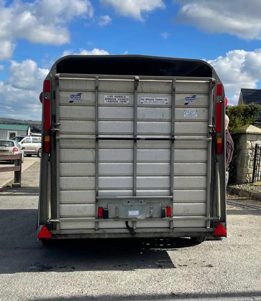 Ifor Williams TA510 14' x 6' Cattle Trailer - Image 3