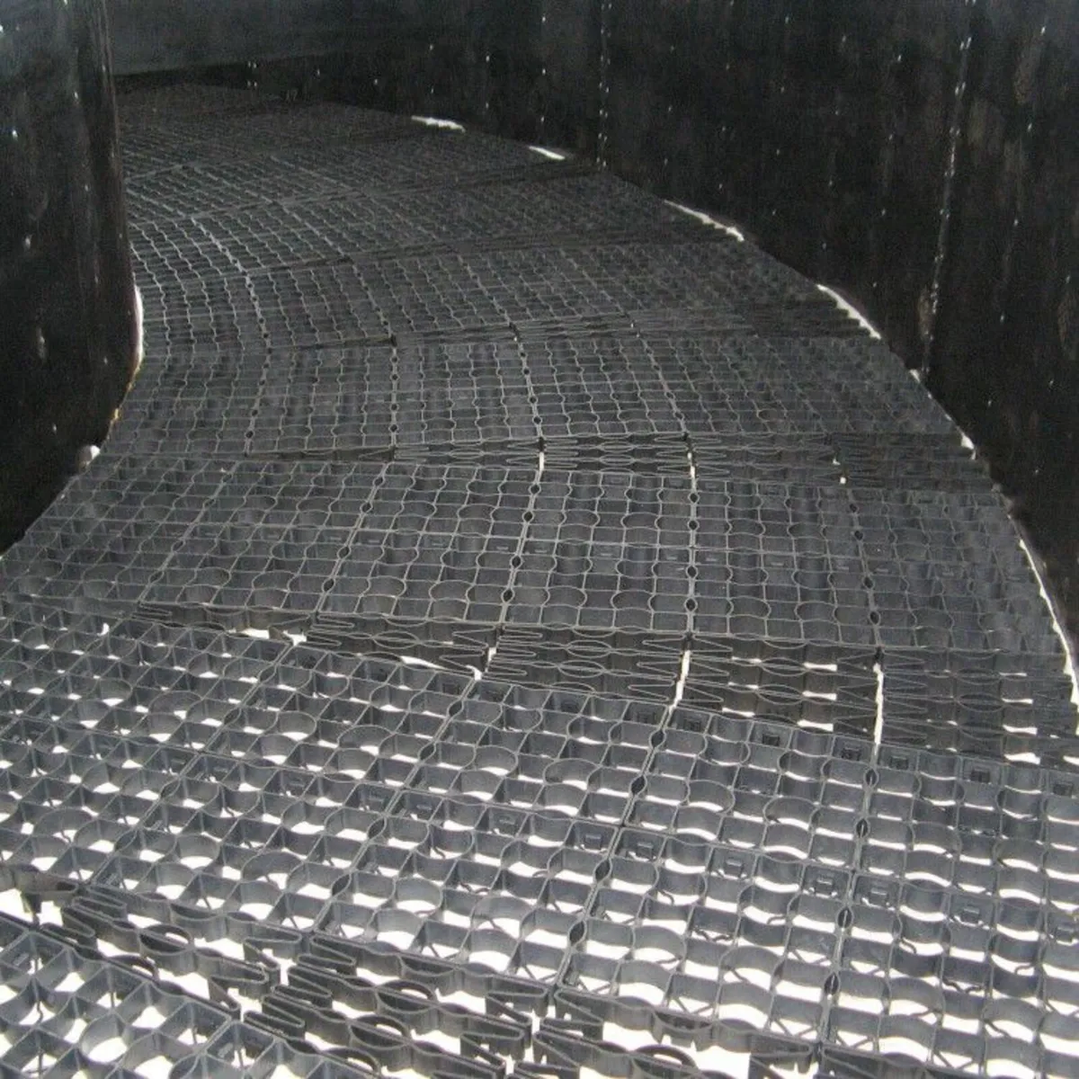 Horse walker pavers - Image 1