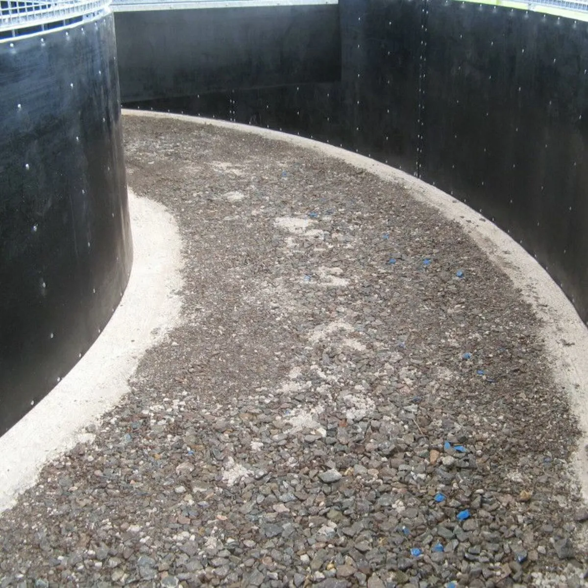 Horse walker pavers - Image 3