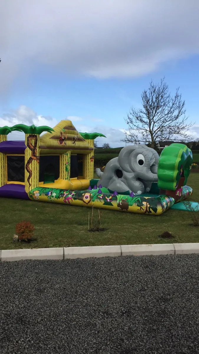 Bouncy Castles - Image 3