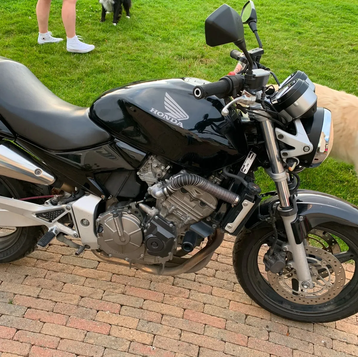 2004 Honda hornet cb600 - Image 1