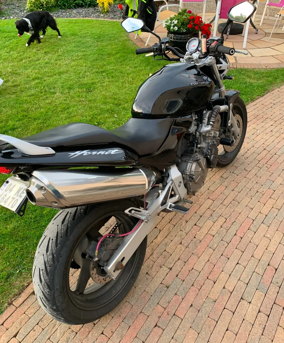 2004 Honda hornet cb600 - Image 2