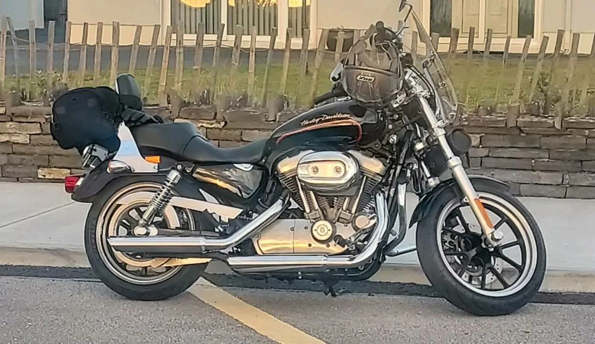 Harley Sportster xl883l superlow - Image 2