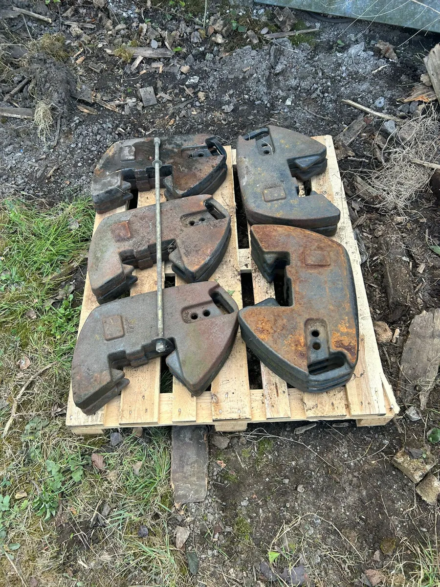Set of Case Puma weights for sale.