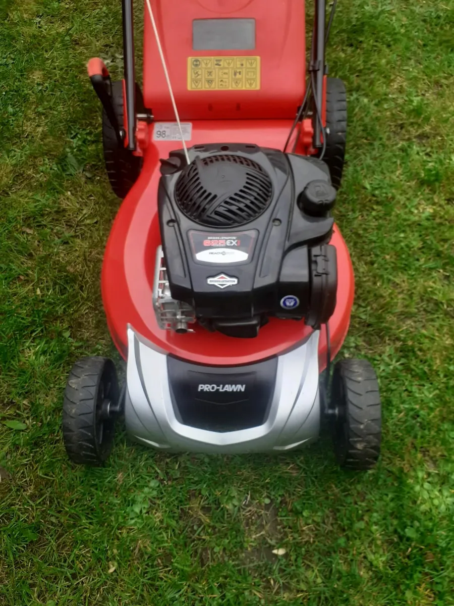 Lawnmower   and     grass  strimmer - Image 1