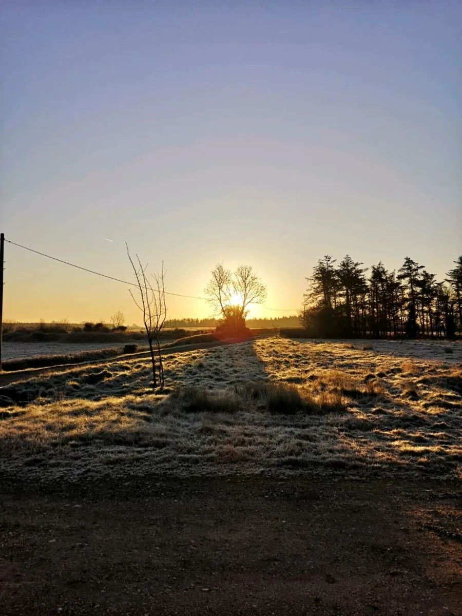 Síte for sale - Image 2