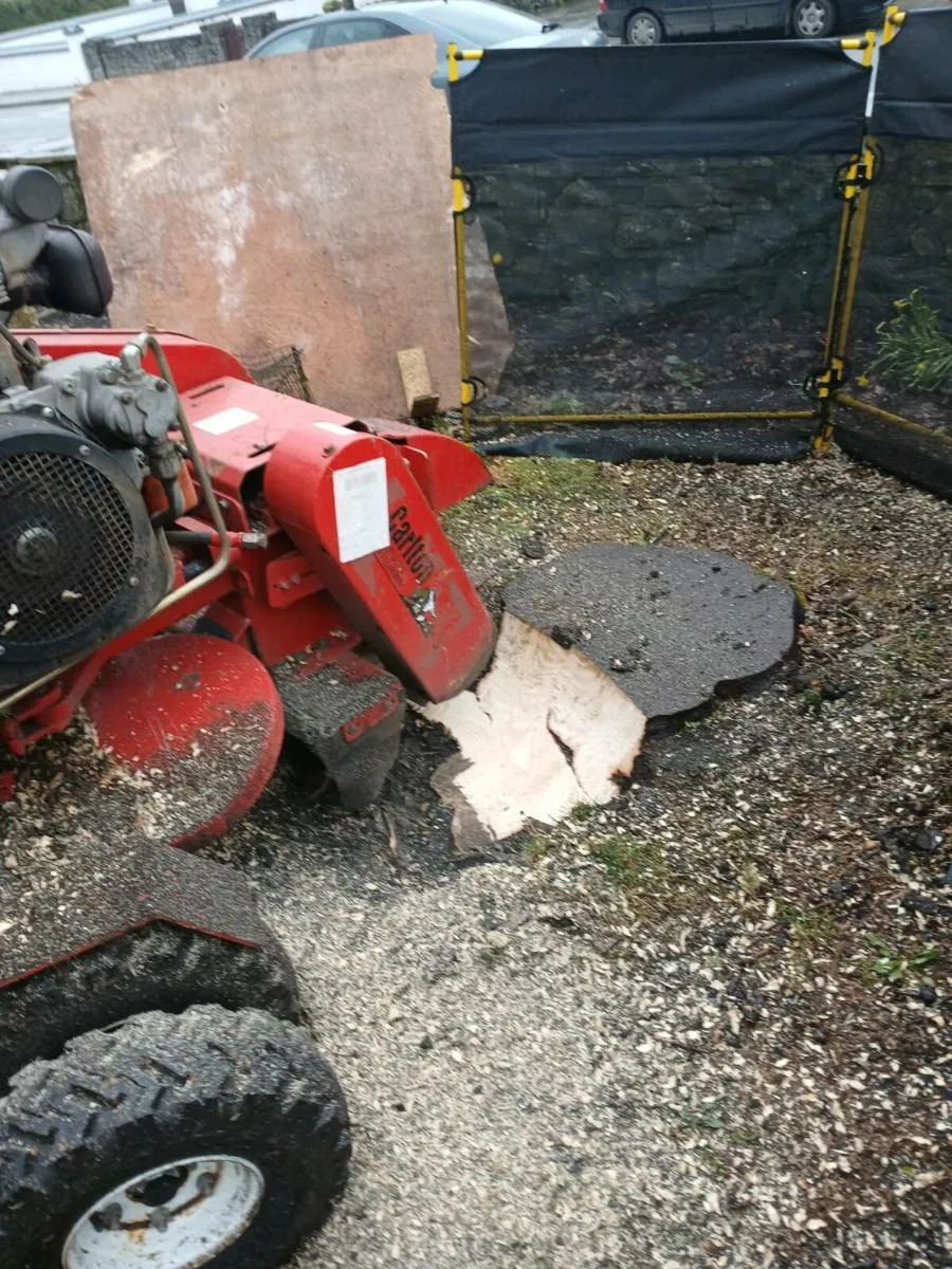 Stump grinding - Image 1