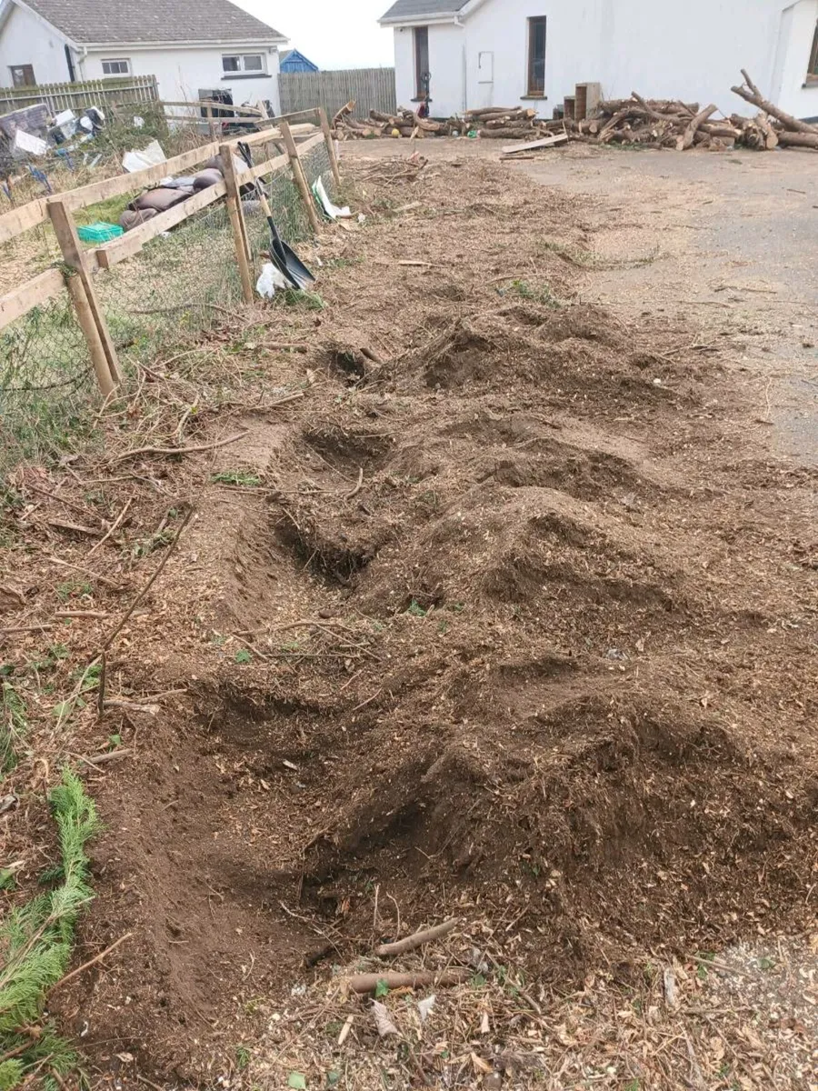 Stump grinding - Image 3