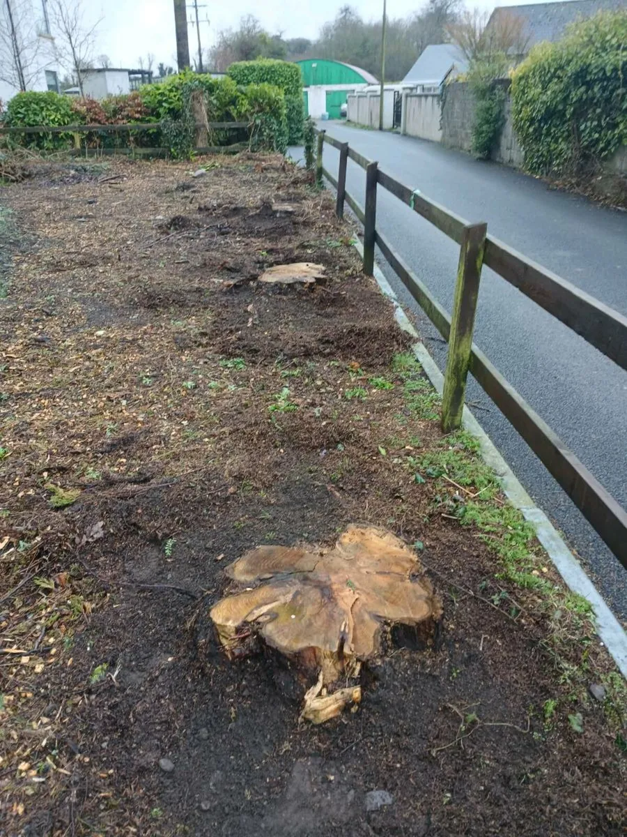 Stump grinding - Image 4