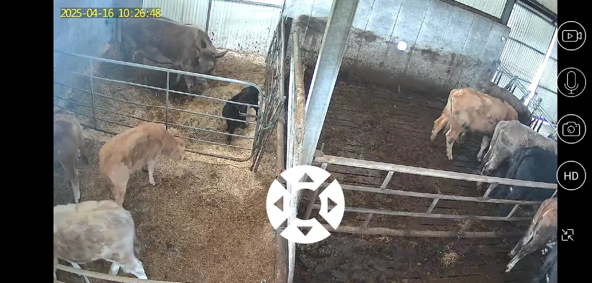 Protect your livestock and property🚫NO WIFI 🚫 - Image 2