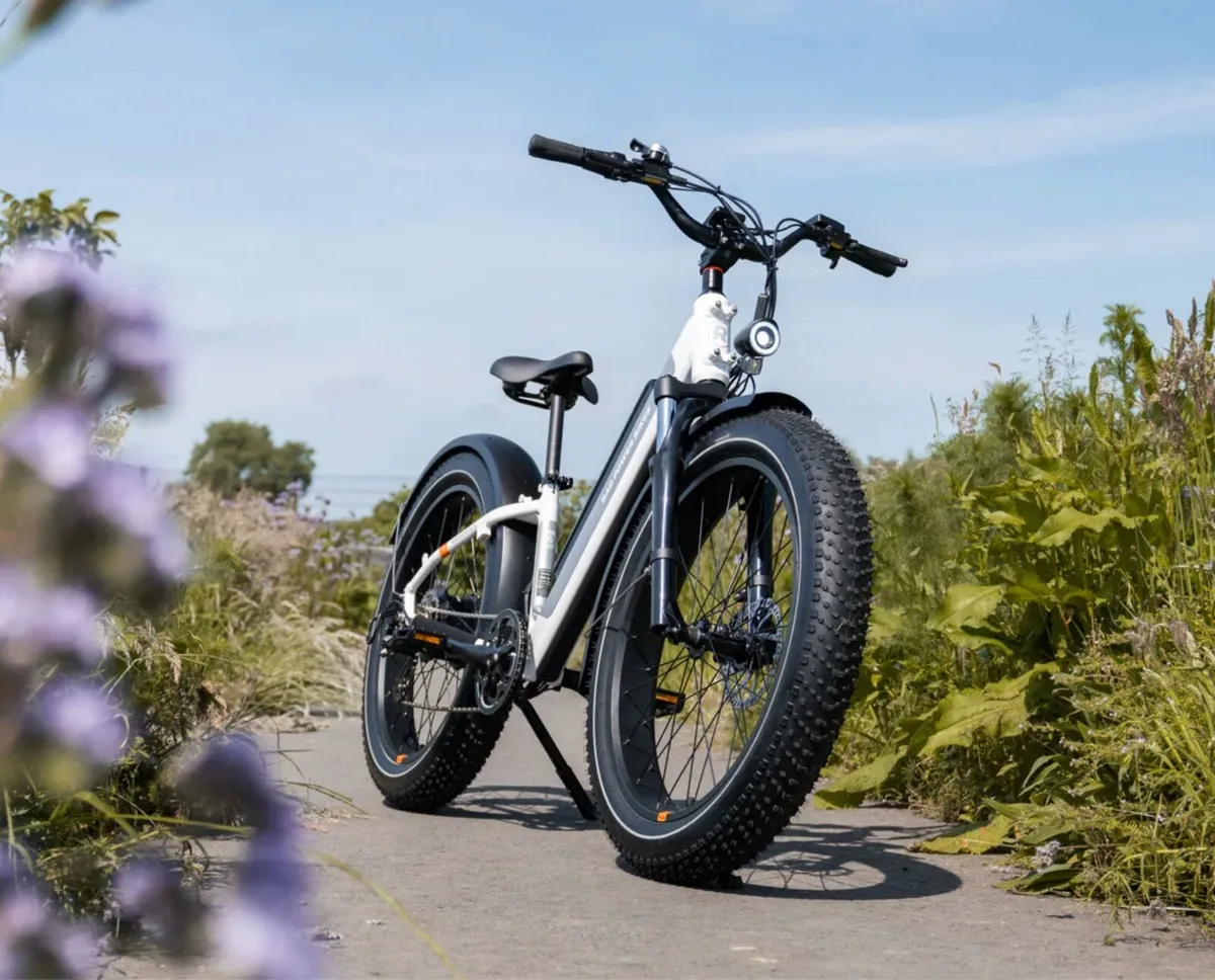 RadRhino6 Plus Electric Bike - Image 2
