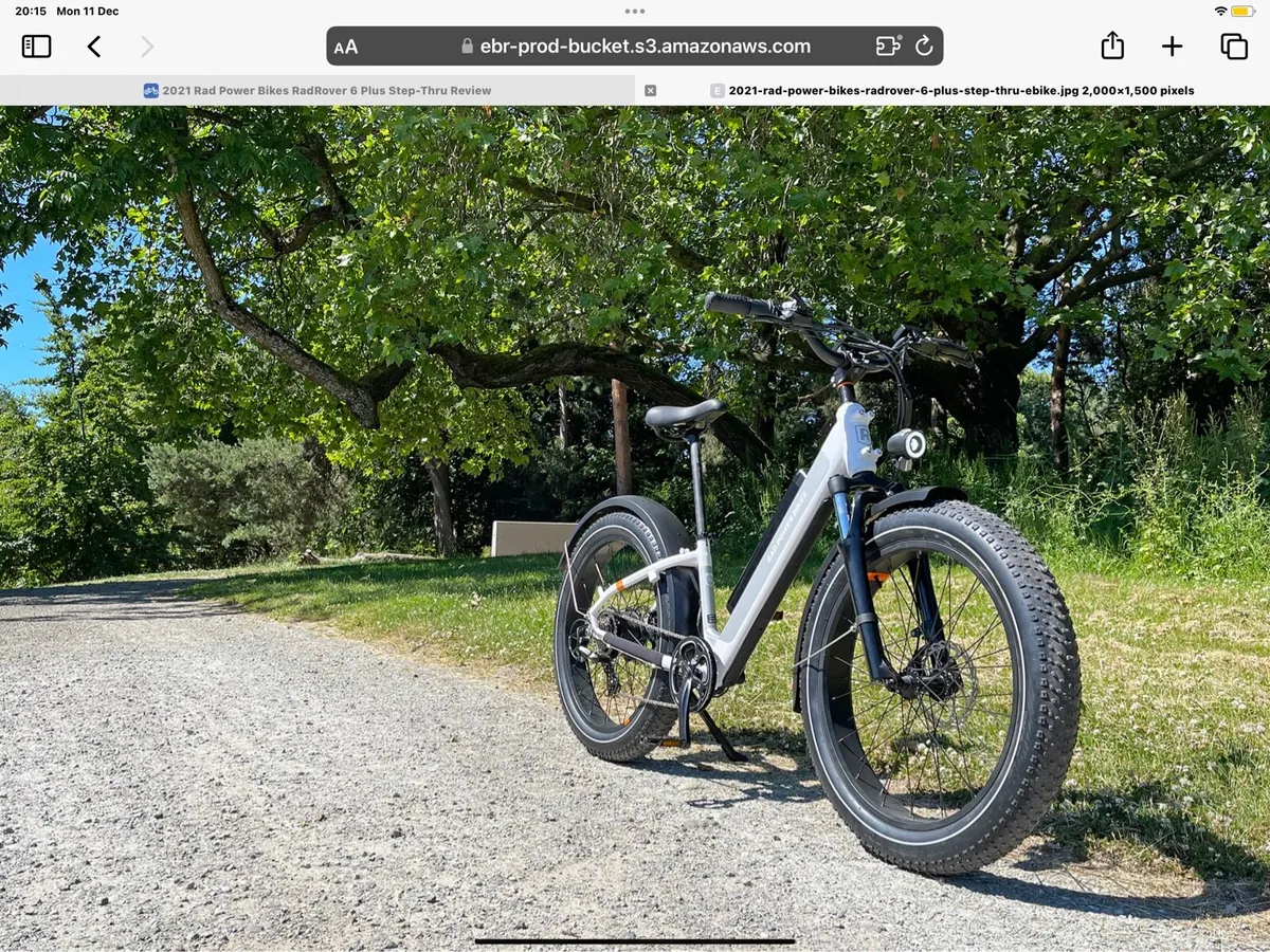 RadRhino6 Plus Electric Bike - Image 3