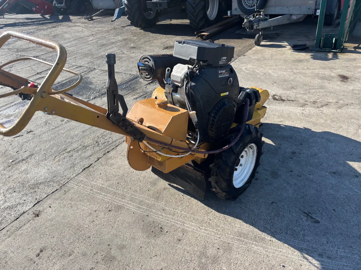 Rayco stump grinder - Image 3