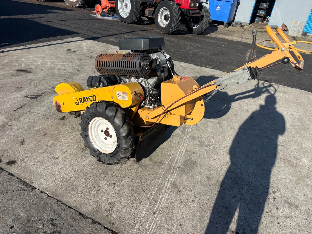 Rayco stump grinder - Image 2
