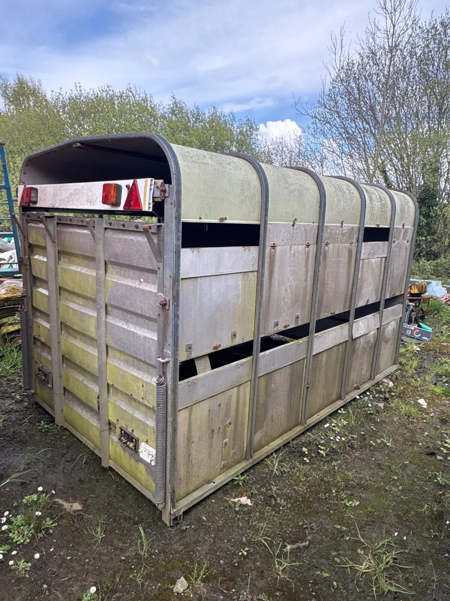10ft cattle body - Image 1
