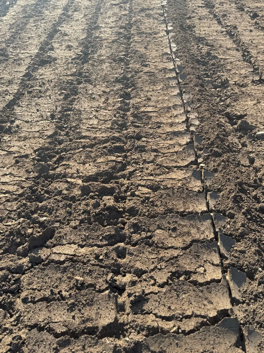 Tractor mounted stone crusher and soil tiller - Image 3