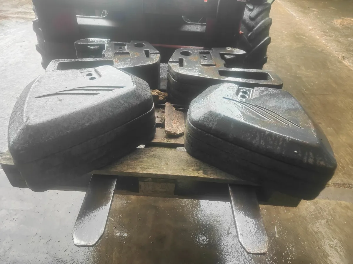 Landini / Mc Cormick weights - Image 2