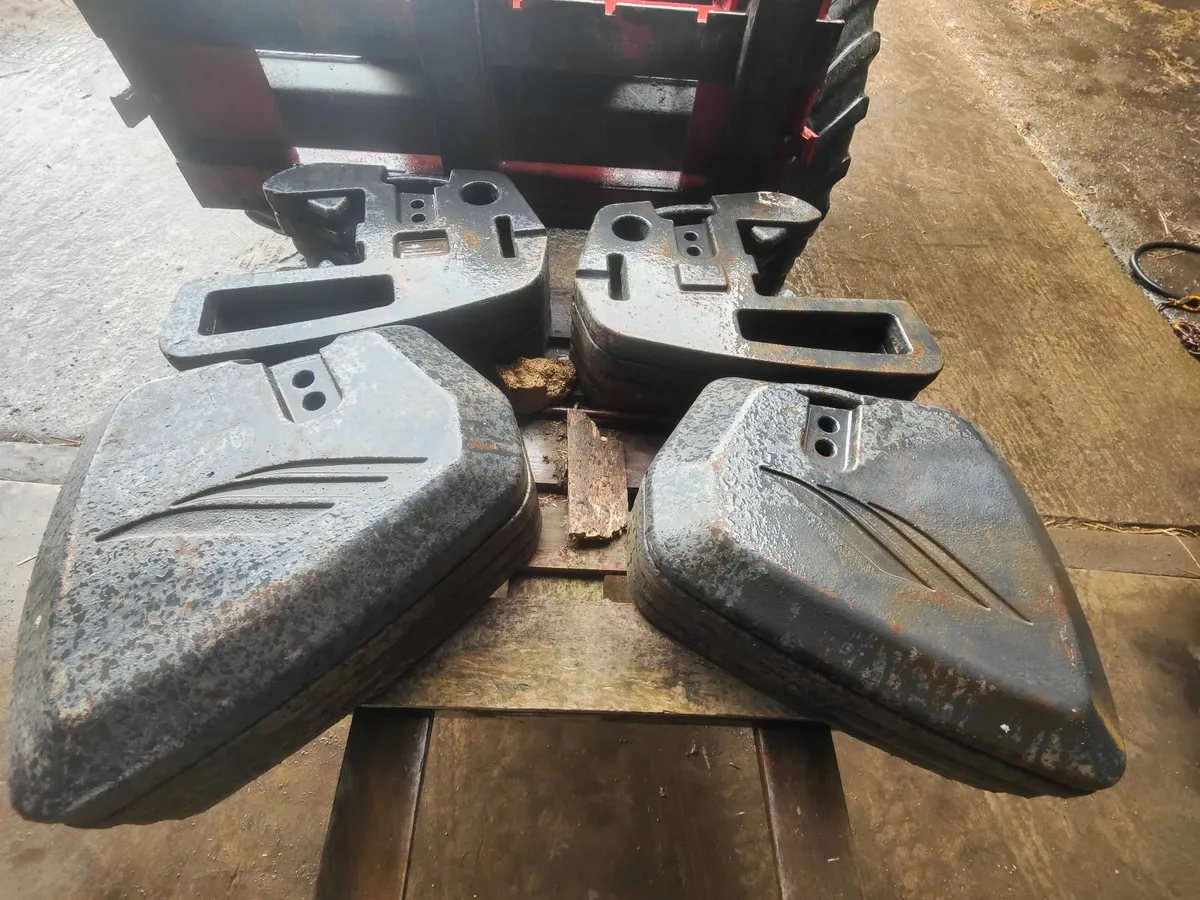 Landini / Mc Cormick weights - Image 1