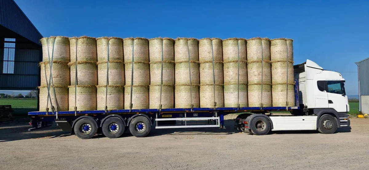 Straw for sale - Image 1