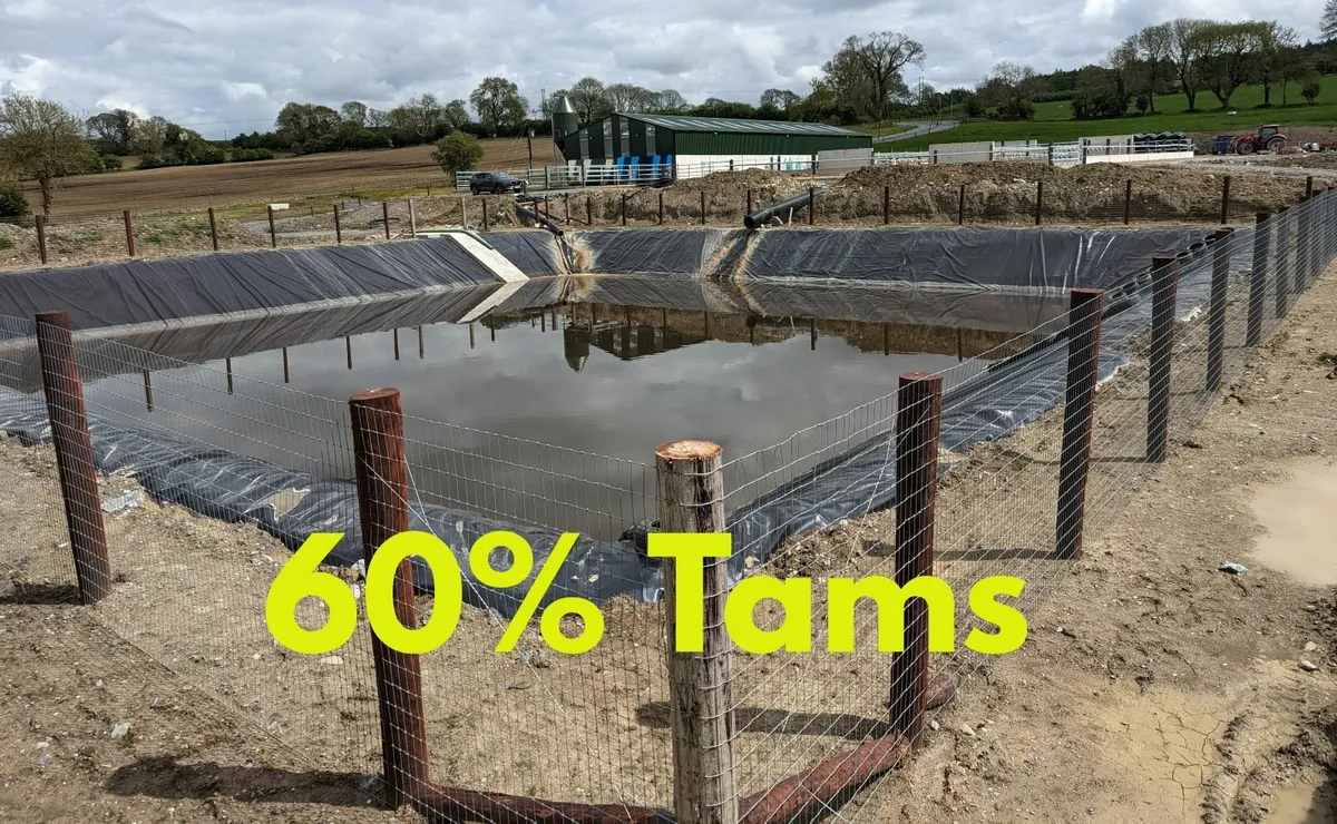 Slurry Lagoon - Image 4