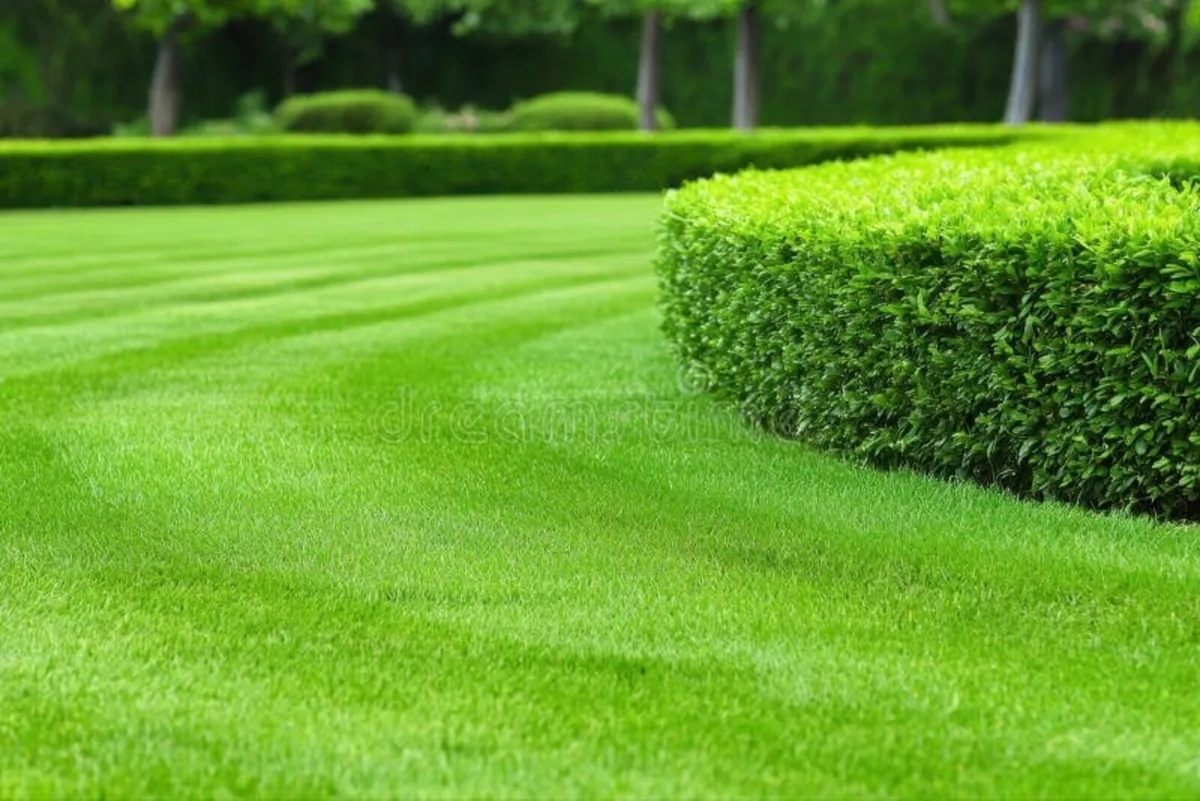 Grass and hedge cutting