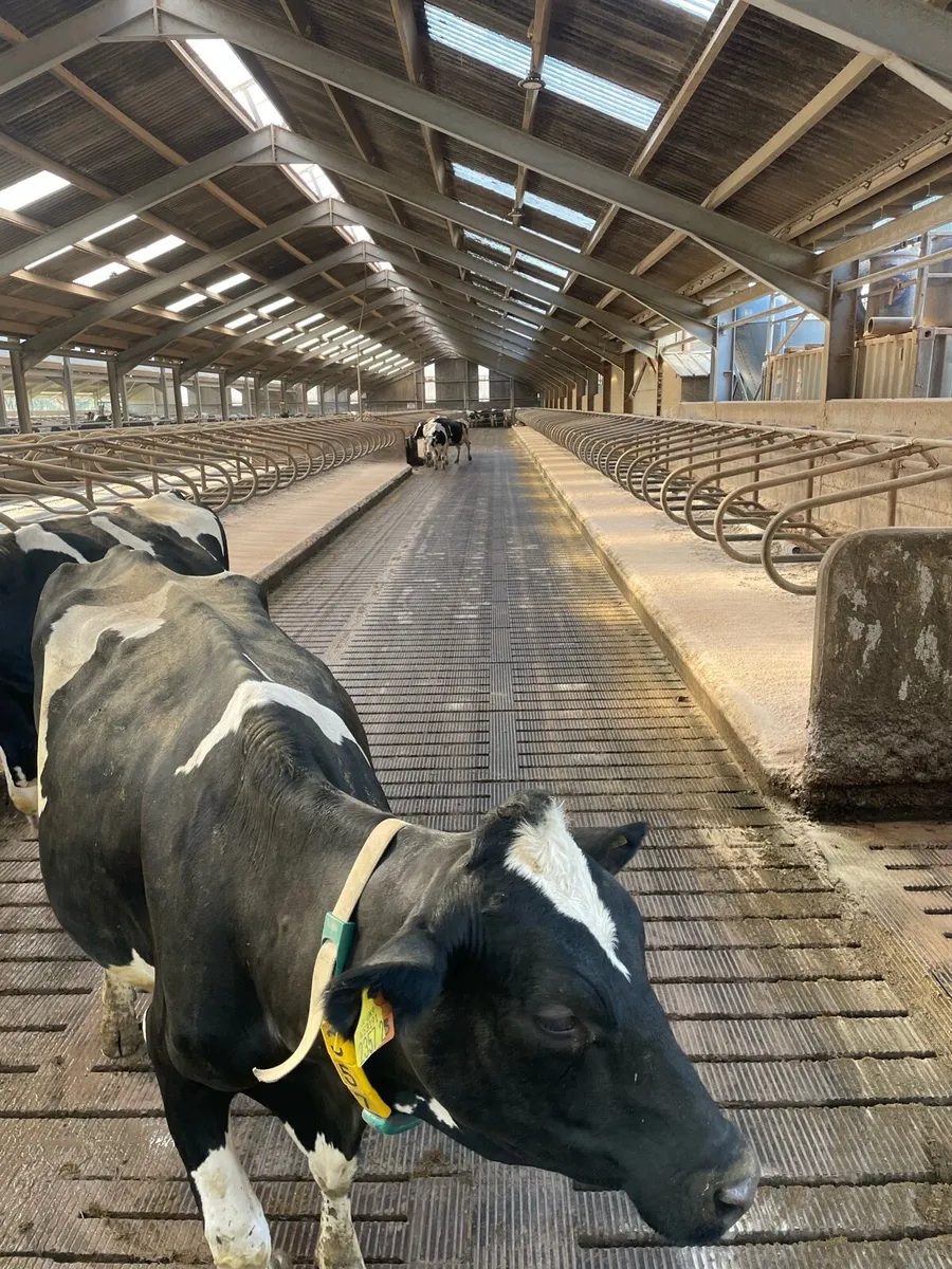 S.S Diamond Blade Grooving - Image 2