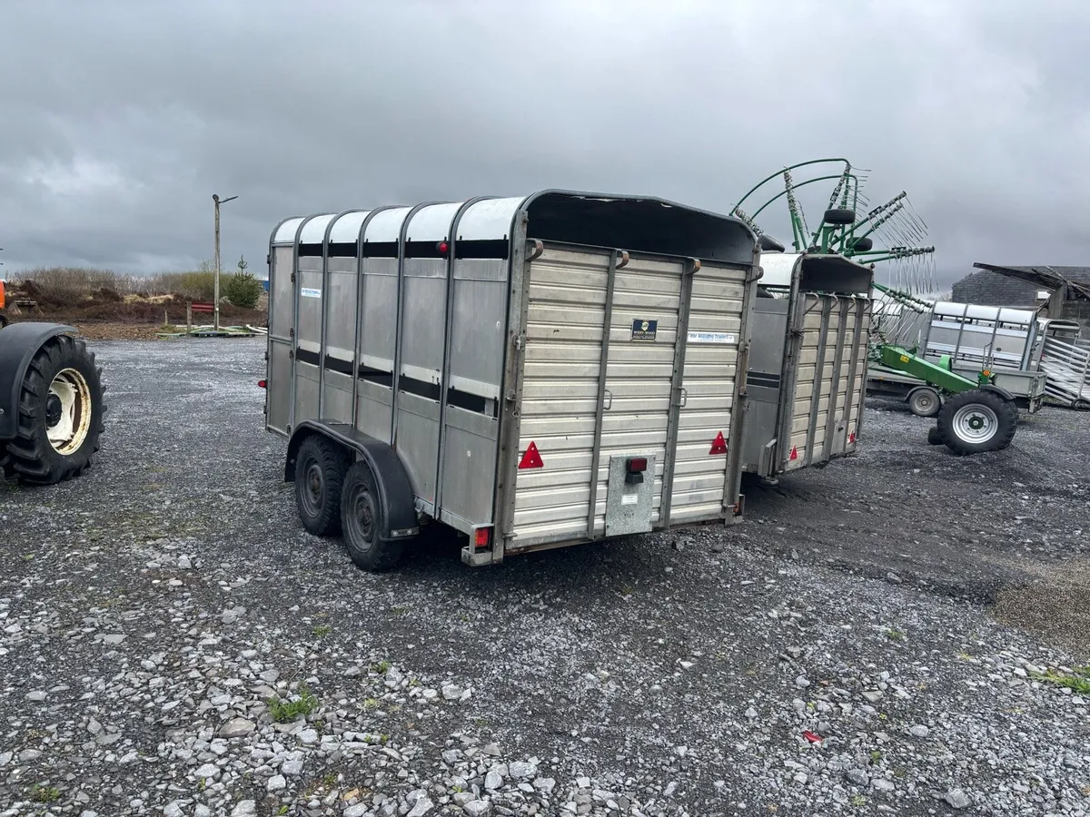 Hudson and Ivor Williams 12x6 Trailers - Image 3