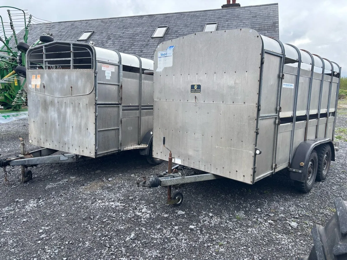 Hudson and Ivor Williams 12x6 Trailers - Image 1