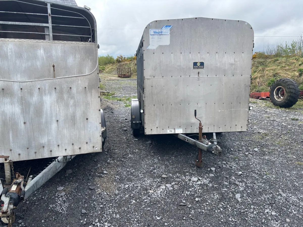 Hudson and Ivor Williams 12x6 Trailers - Image 2