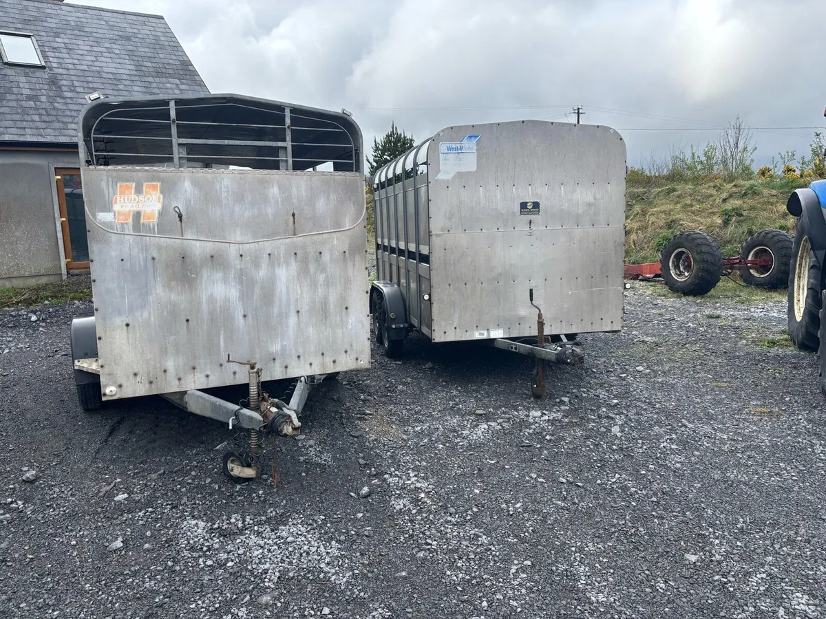 Hudson and Ivor Williams 12x6 Trailers - Image 4