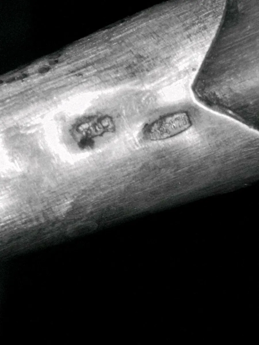 Wall decoration horn with 875 silver - Image 2