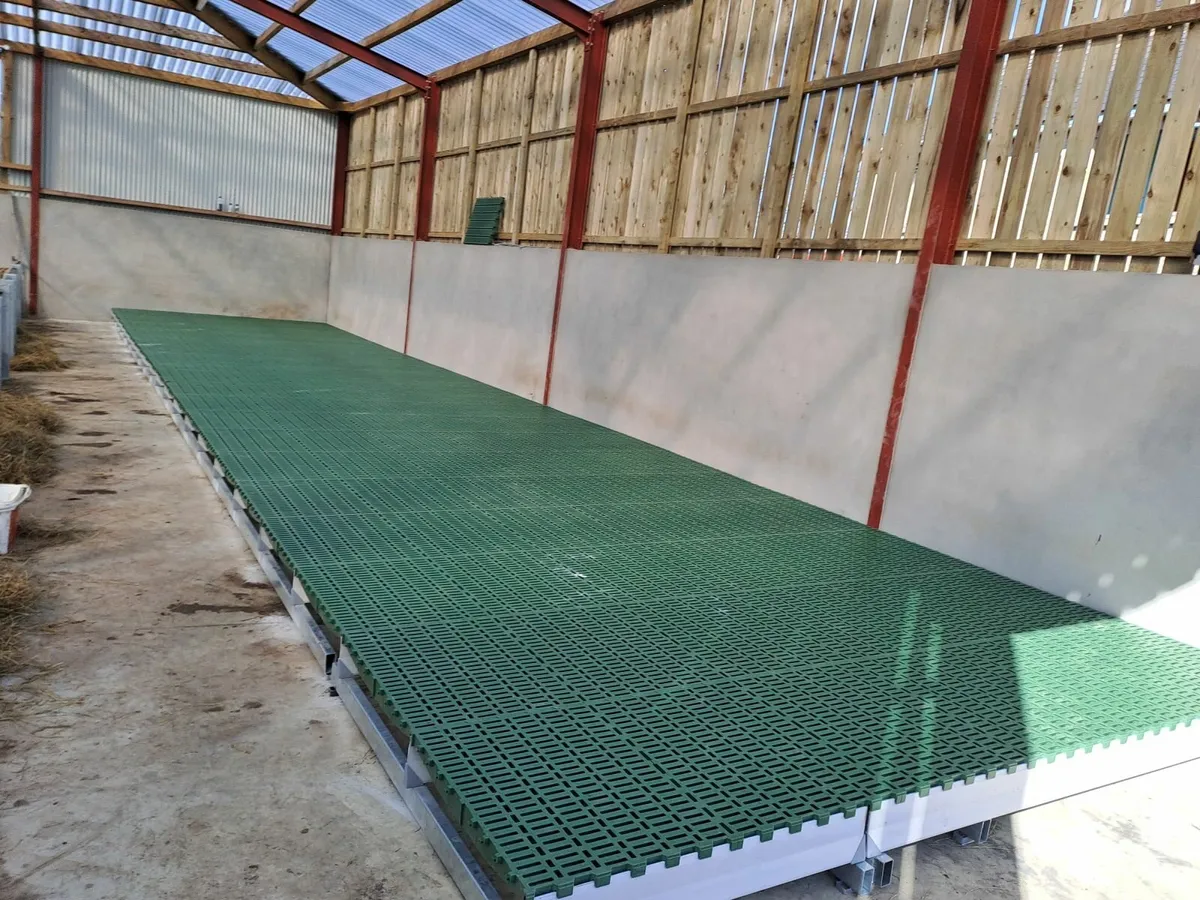 Sheep  Slats ( plastic  ) - Image 3