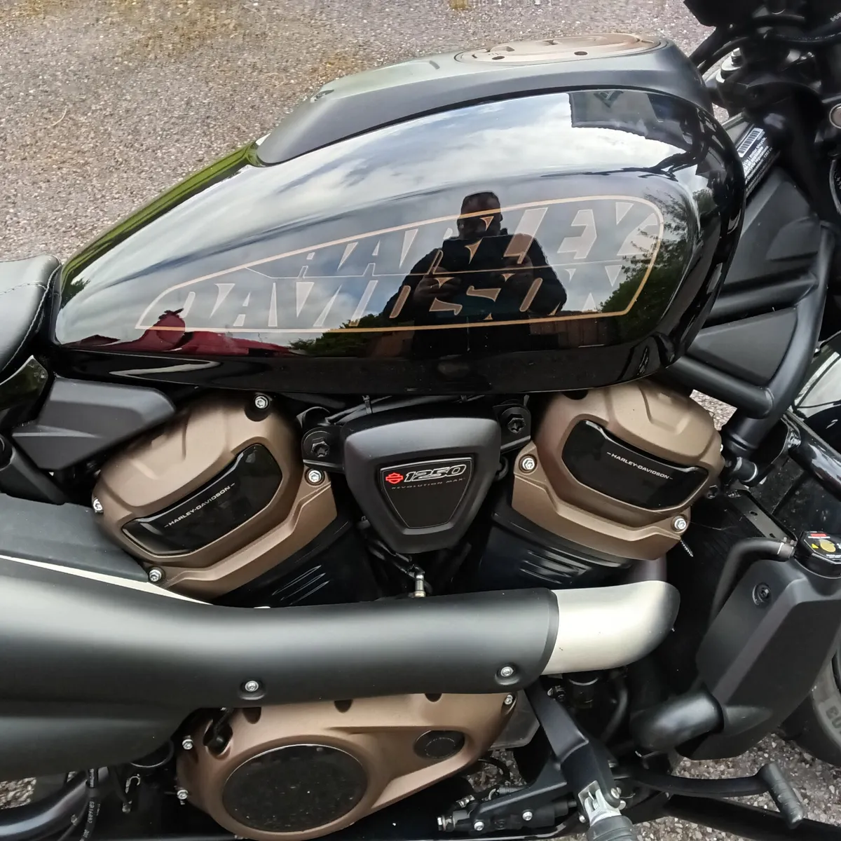 HARLEY DAVIDSON SPORTSTER 2022 - Image 4