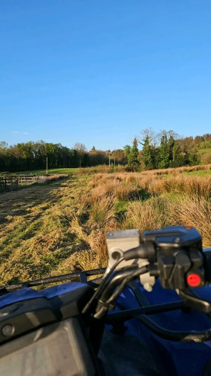 Quad mulching available - Image 1