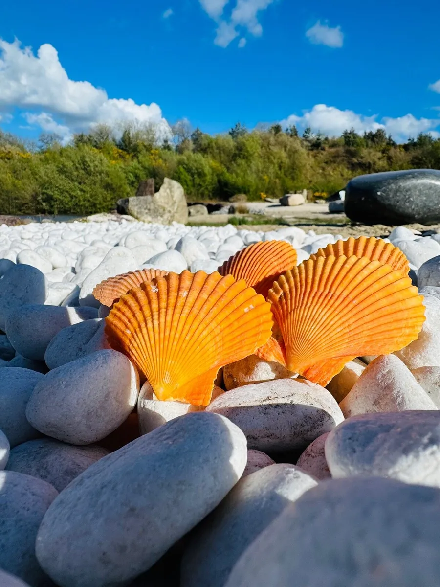 Zen stone Zen grit Zen Garden Zen Pebbles Zen sand - Image 4