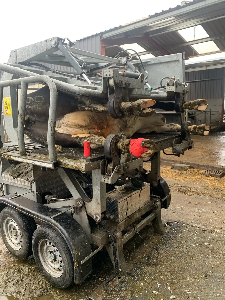 Hoof trimming and scanning - Image 2