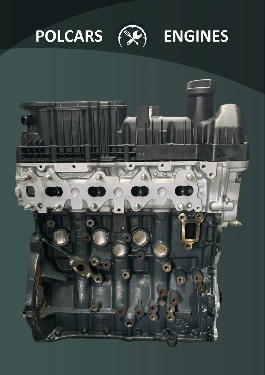 Engine  Hyundai  ix35 , Kia Sportage 2.0 D4HA - Image 2