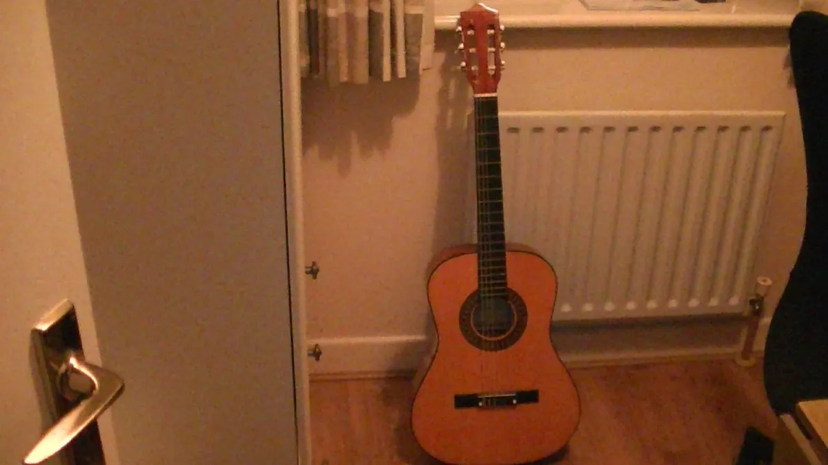 Herald Guitar - Image 1