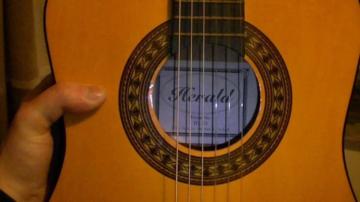 Herald Guitar - Image 2