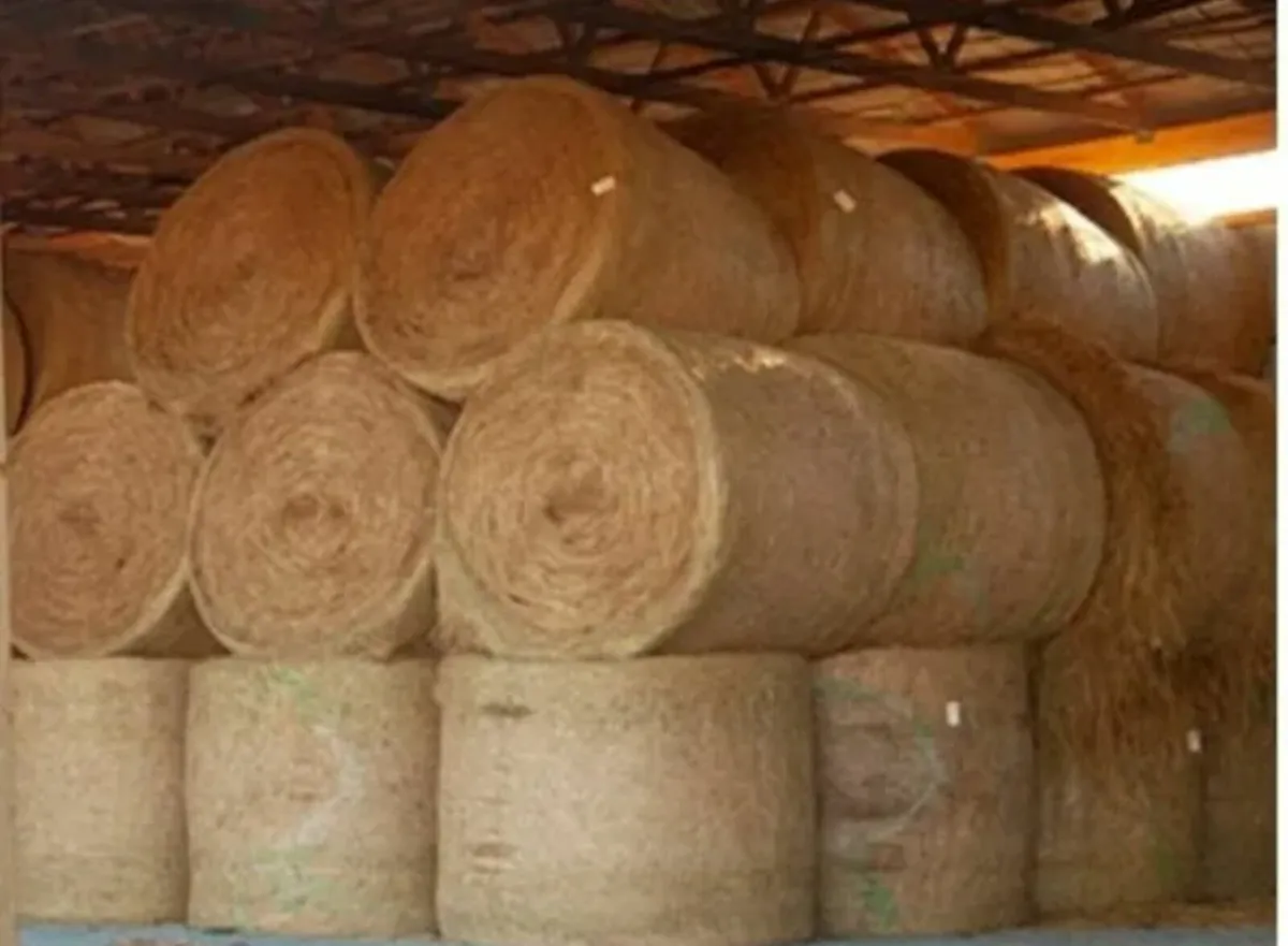 Hay for Sale