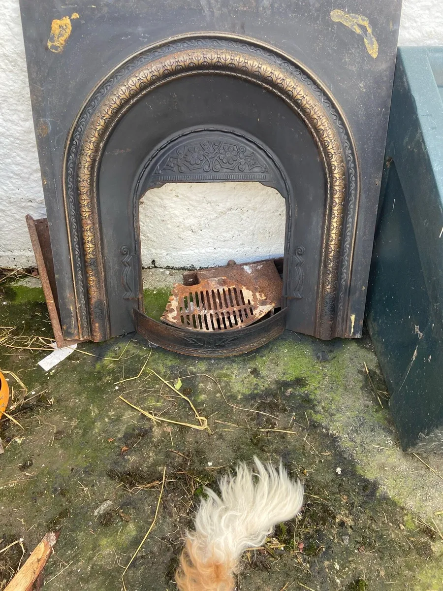 Back boiler and fire front - Image 2