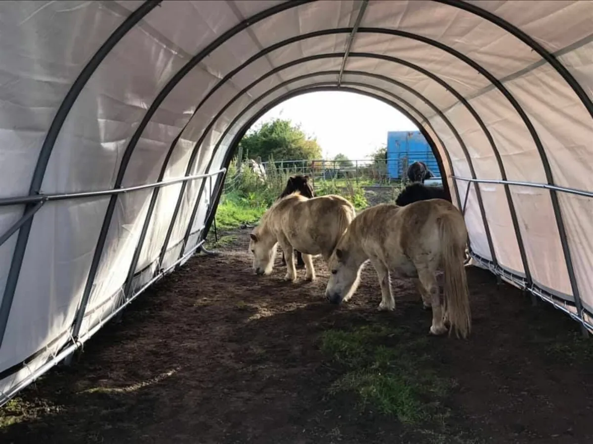 Heavy Duty Horse Shelter - Free Delivery - Image 4