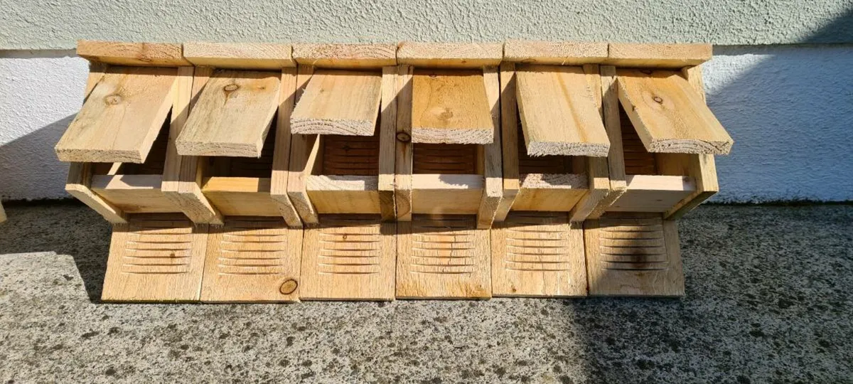 Bat Boxes ACRES NPI Approved (Bulk Discount) - Image 2