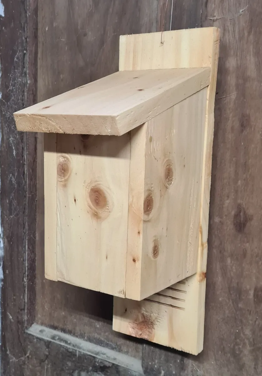 Bat Boxes ACRES NPI Approved (Bulk Discount) - Image 3