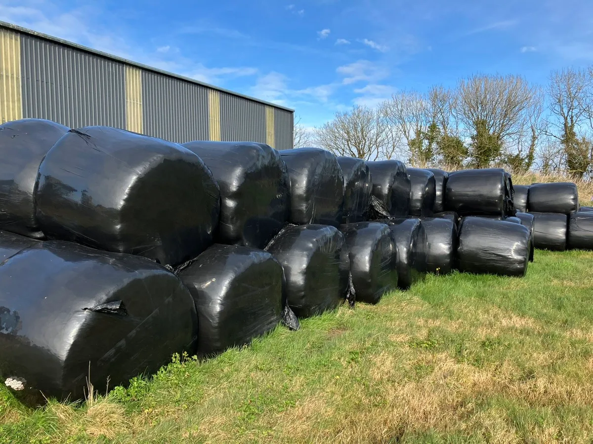 Hay and silage for sale - Image 4