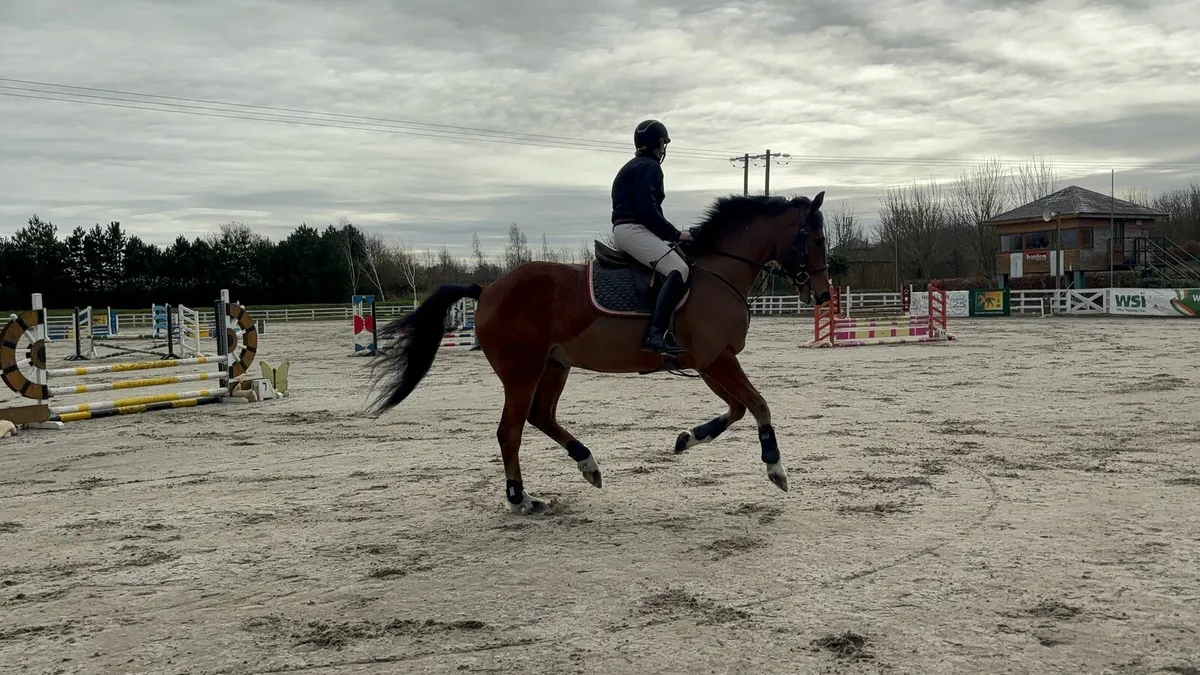 Sales, schooling and competition livery - Image 2