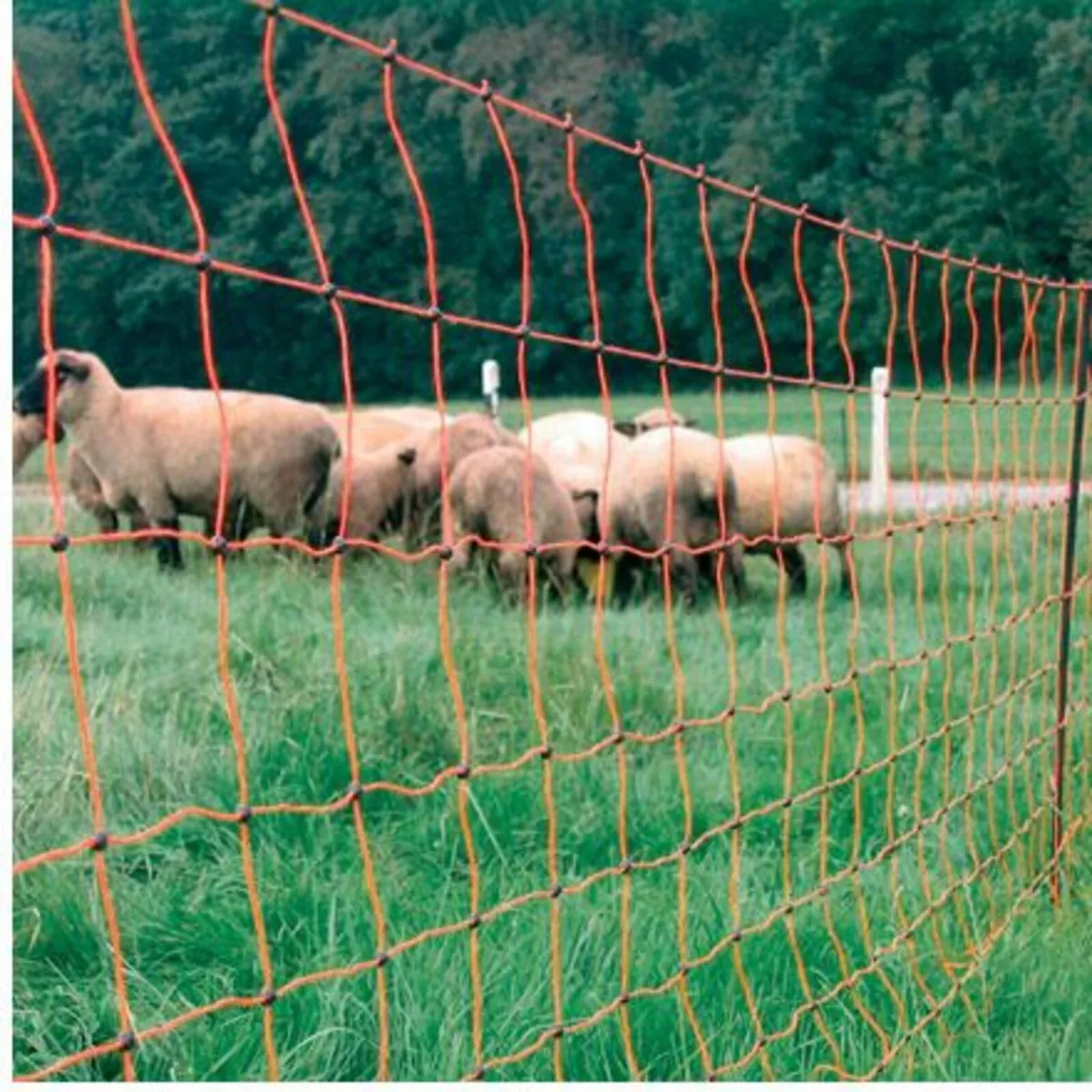 50m Electric Sheep Fencing with Built in Posts - Image 4